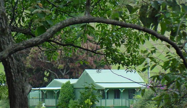 Crystal Creek Cottages. Home of mini cattle and horses. See platypus. Farm stay.