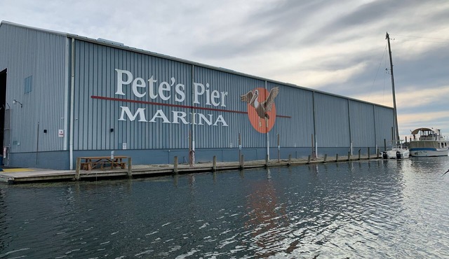 Crystal River Condo -Near Three Sisters and Hunters Spring