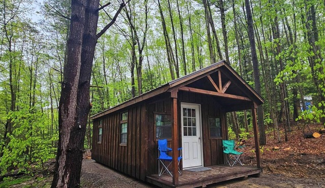 Cub Cabin: Charming cabin with WiFi in Freeville - perfect for a cozy getaway