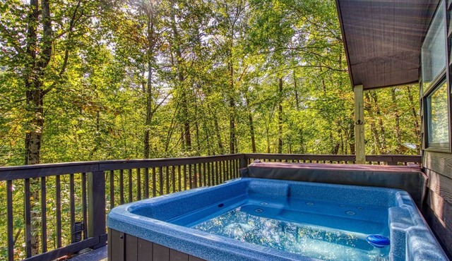 Cub's Corner - Near Pigeon Forge, FREE Attraction Tickets!!!