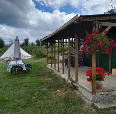 Cuckoo Lake Forest Cabin