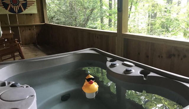 Cuddle Up and Relax - Hot Tub, Fireplace, View