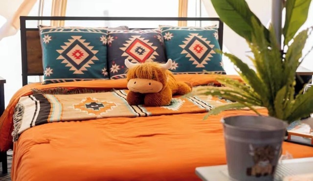 Cuddly cow yurt with fluffy cows, llamas, and sheep