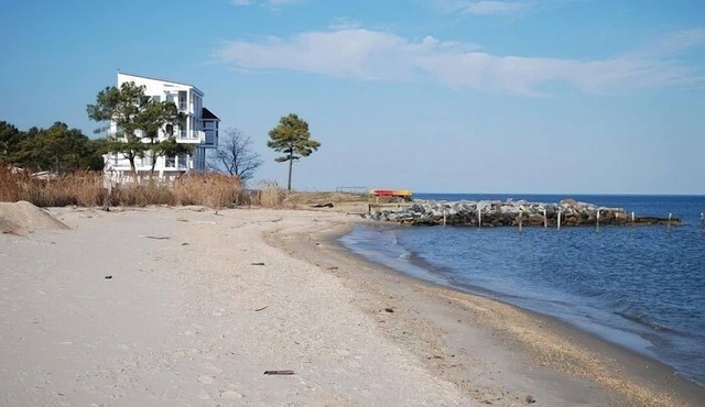 Culag at Scotland Yards