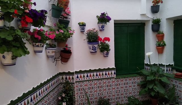 CULTURES AND COLORS IN ALMAGRO WIFI and private parking. Promotion to Companies