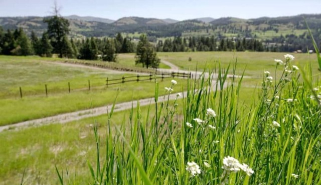 Curlew Earth Home 2BD w/Valley & Mountain Views