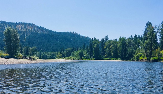 Curlew Kettle River Paradise Waterfront Paradise