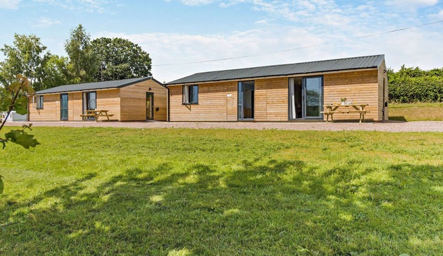 Curlews Rest at Canon Bridge Fishery