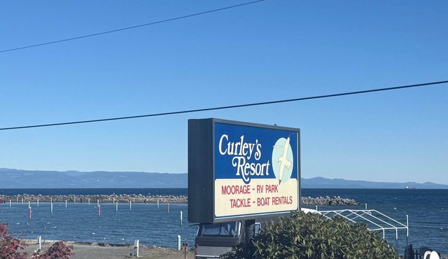 Curley's
