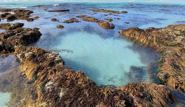 Currawong Cottage Vivonne Bay
