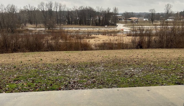 Current River Condo #5