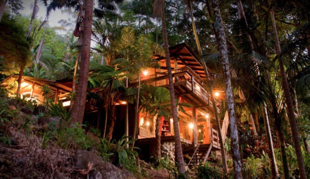 Currumbin Rainforest Treehouse