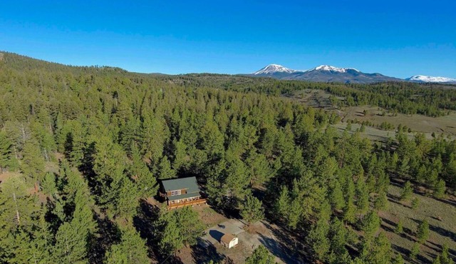 Custom log cabin tucked away in private forest