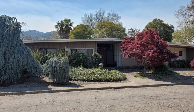 Custom Redwood Mid-Century Modern home on quiet street near downtown