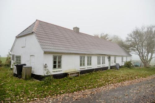 Cut Branches, Make Fire And Gaze At Treetops