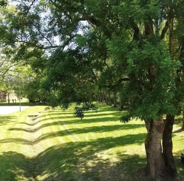 Cute 1-bed cottage with view across park.