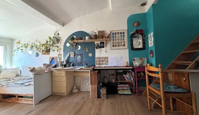 Cute 2/3 rooms in the historic center, including cat ;-)