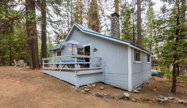 CUTE 2B/1B CABIN IN THE WEST VILLAGE ON MADRONE LANE