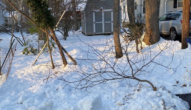 Cute 3-bedroom Grafton Ranch in Medford Lakes