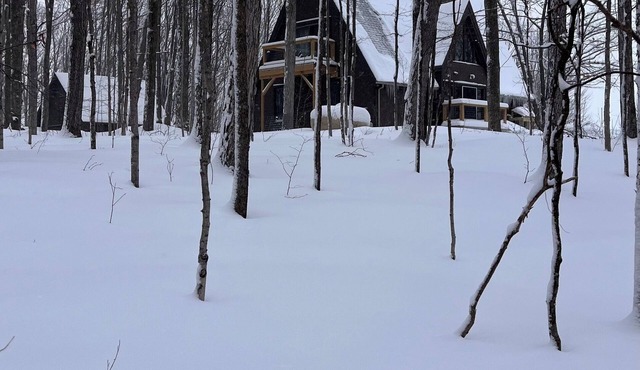 Cute Aframe on 5 private acres with hot tub, views and family-friendly