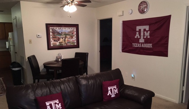 Cute and Roomy Aggieland Apartment!