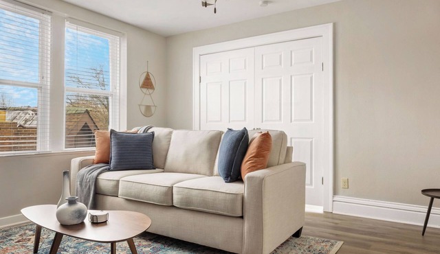 Cute Apt Near Loop - WashU - BJC