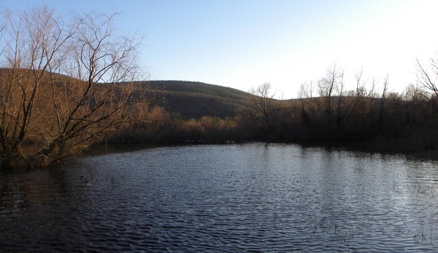 Cute Cabin in the Mountains and on River property. 2 ACs/High Speed Internet