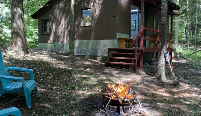 Cute cabin in the woods