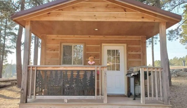 Cute Camping Cabin in Custer - #16