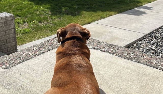 Cute, comfortable, fully fenced, clean home great for boating/golf families