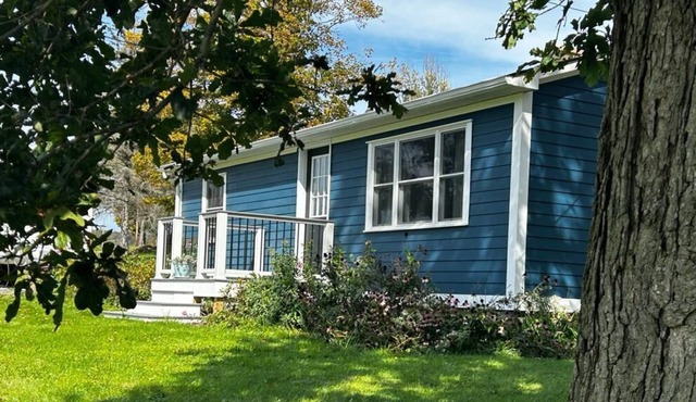 Cute, Comfy home in Bumpville