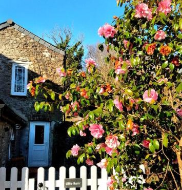 Cute Cornish Cottage