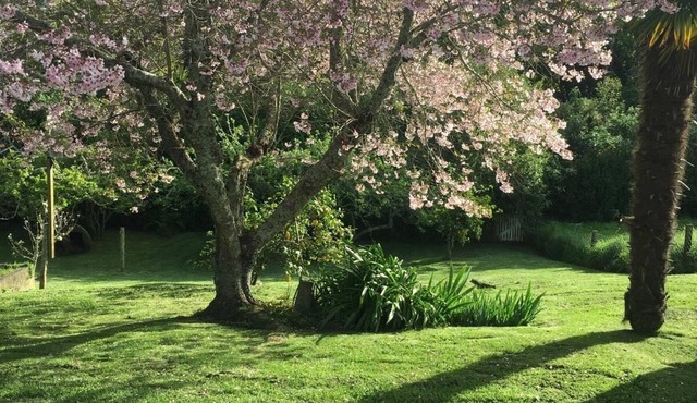 Cute, Cottagey and Central! Spacious, lovely indoor outdoor flow to great garden