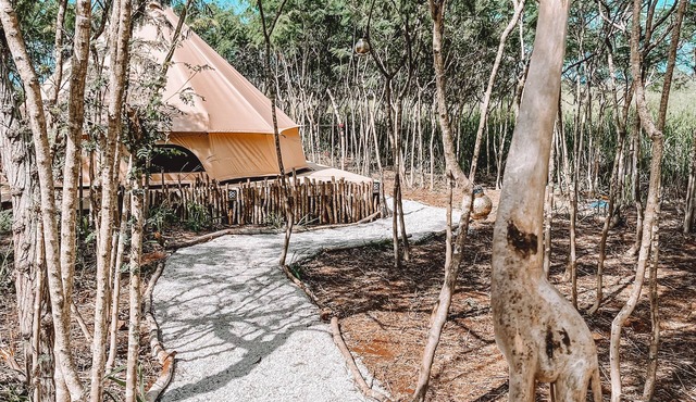 Cute Off Grid Bell Tent with WIFI - 5 min from Haleiwa!