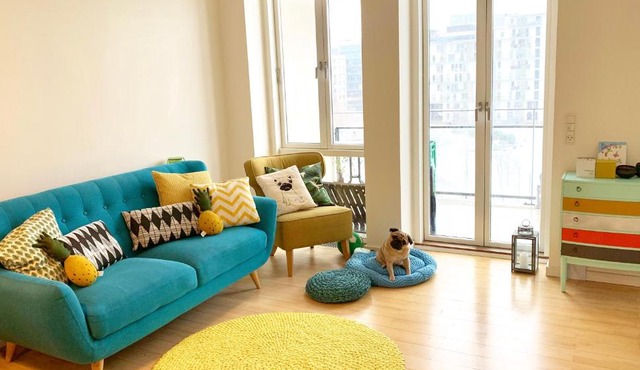 Cute Pug Guest Room