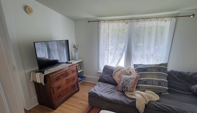 Cute Sun filled Private Apartment