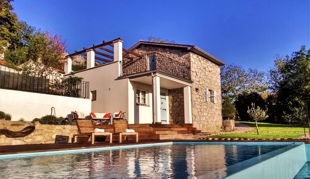 Cute vacation house surrounded by green area