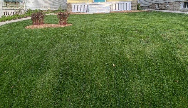 Cute, yellow 2BR Bungalow w/free garage and Wifi