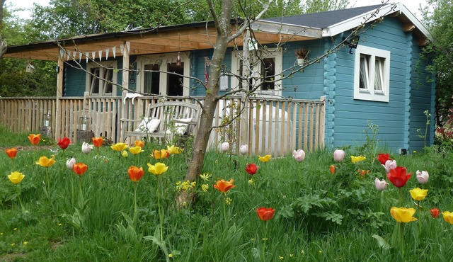 Cuttermoon Lodge - Escape to a Romantic Rural Idyll