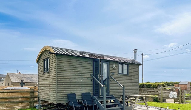 Cwtch Winnie - UK49708