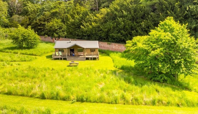 Cygnet at Exton Park