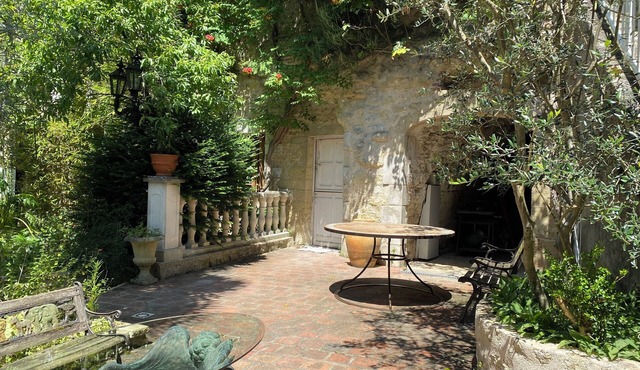 Cygnet at 'Songbird Sanctuary' near Chenonceau