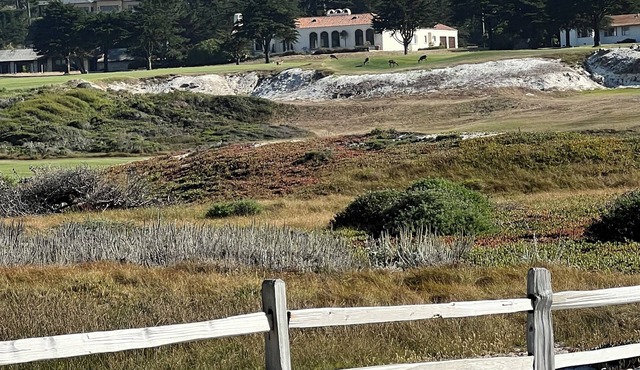 CYPRESS PARADISE nAmazing home on number 2, at CPGC, walk to Cypress Point!