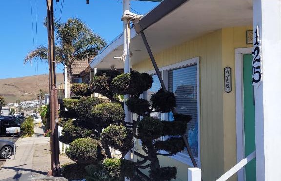 Cypress Tree Motel