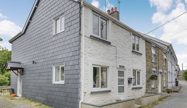 CYSGOD Y COED, pet friendly, character holiday cottage in Tre'r Ddol