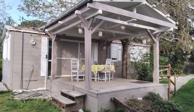 Déconnectez Vous ! Revenez A L'essentiel