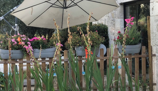 Dépendance D'un Château Médiéval du Xiième Siècle, Gite Indépendant