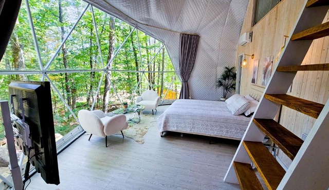 Dôme Le Scandinave
