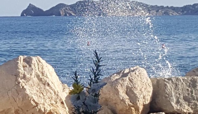 Dúplex Puerto Jávea