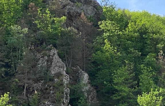 Dúplex Roca del Sucut